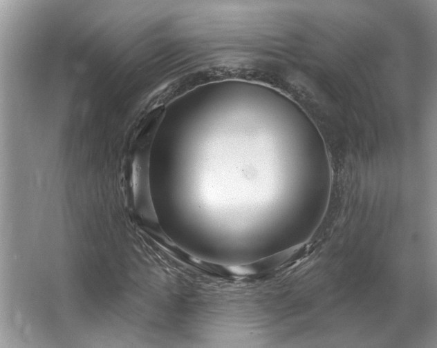 X0000067470822200604071152