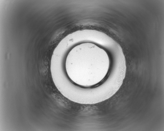 X0000067470824200604071152