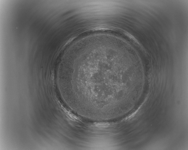 X0000067470825200604071152