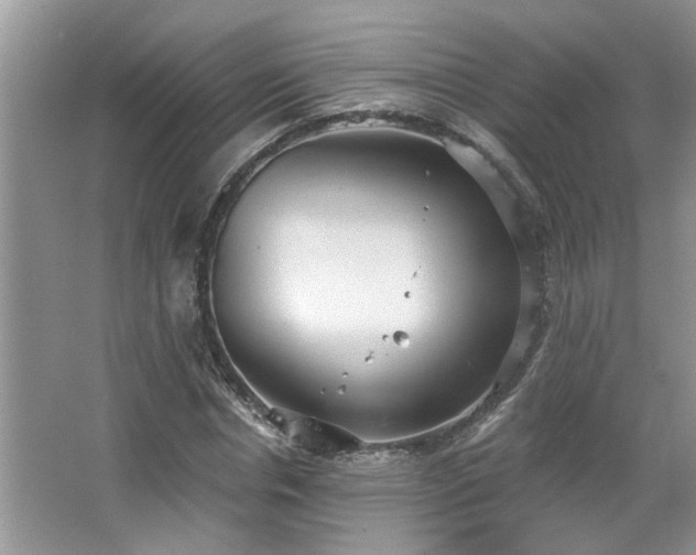 X0000067470826200604071152