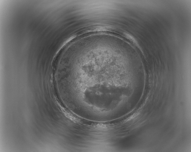 X0000067470827200604071152