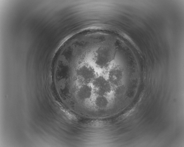 X0000067470829200604071152