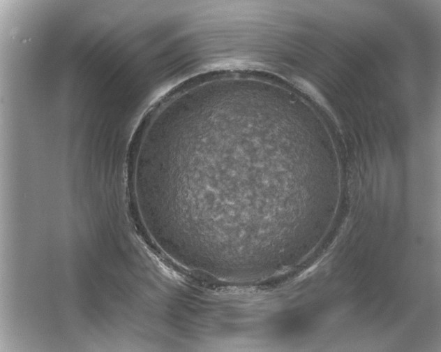 X0000067470831200604071152