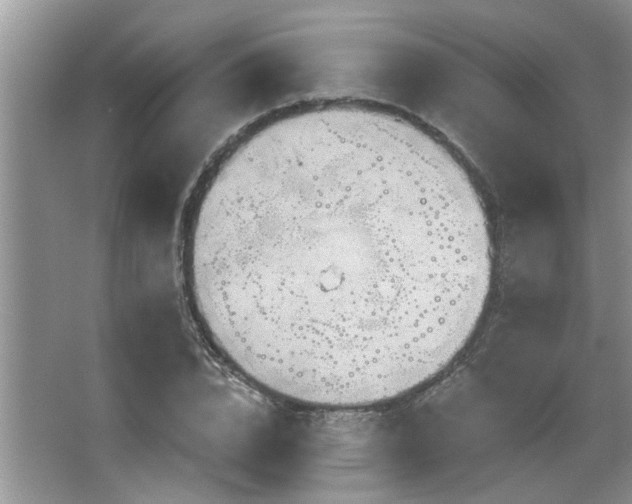 X0000067470832200604071152