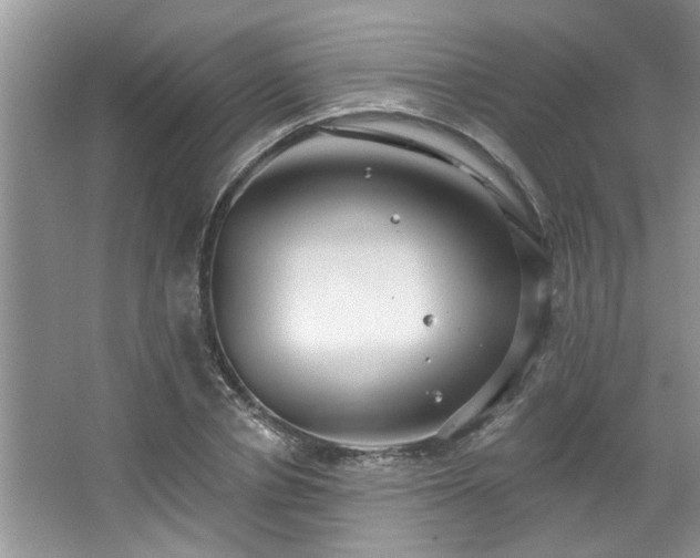 X0000067470834200604071152