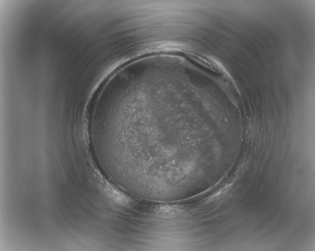 X0000067470835200604071152