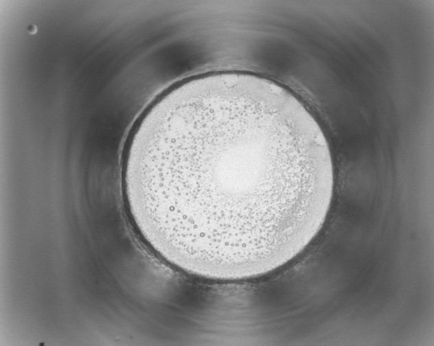 X0000067470836200604071152