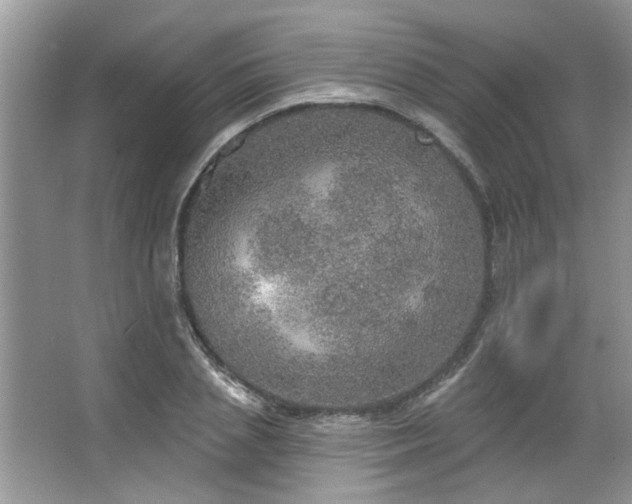 X0000067470837200604071152