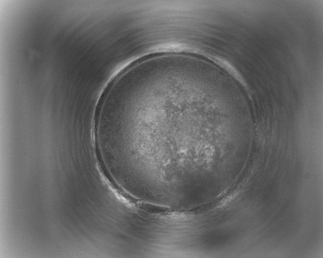 X0000067470839200604071152