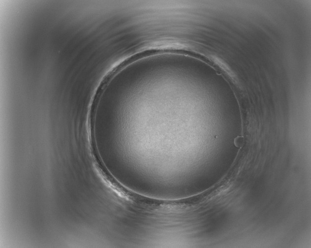 X0000067470840200604071152