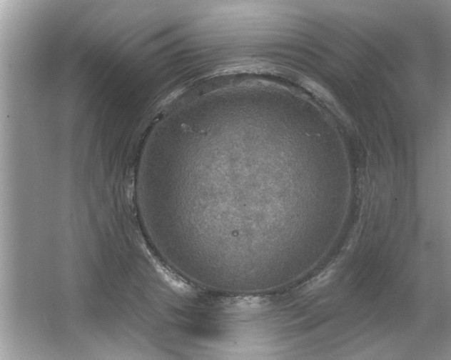 X0000067470841200604071152