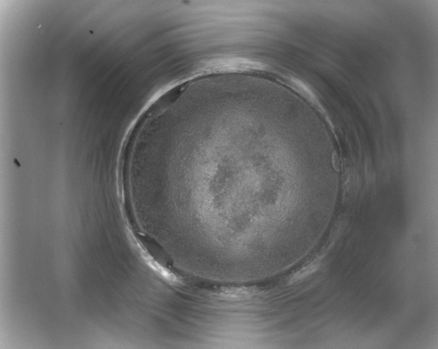 X0000067470843200604071152