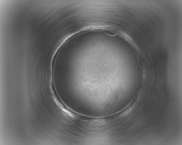 X0000067470844200604071152