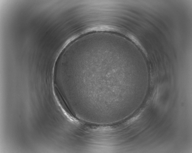 X0000067470845200604071152