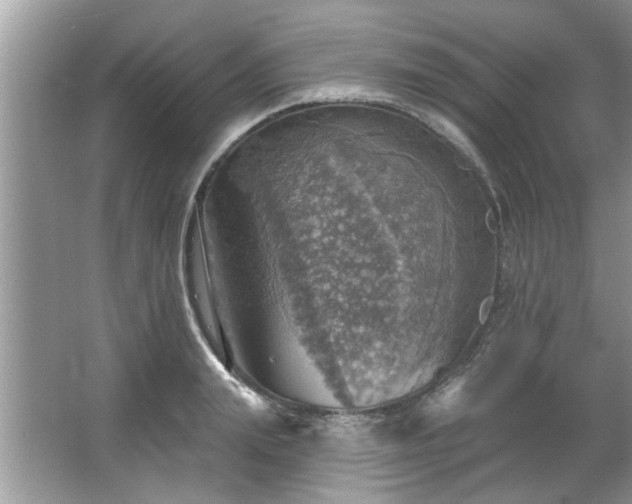 X0000067470847200604071152