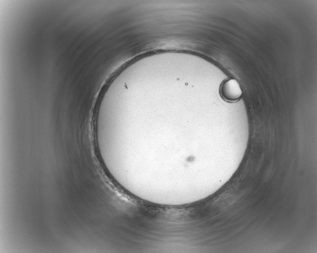 X0000067470848200604071152