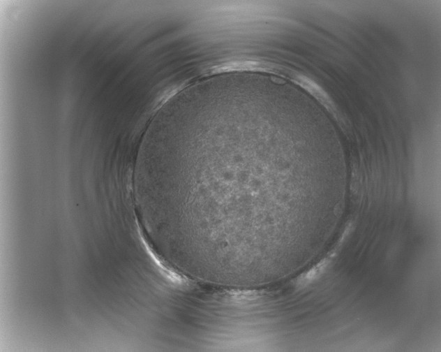 X0000067470849200604071152