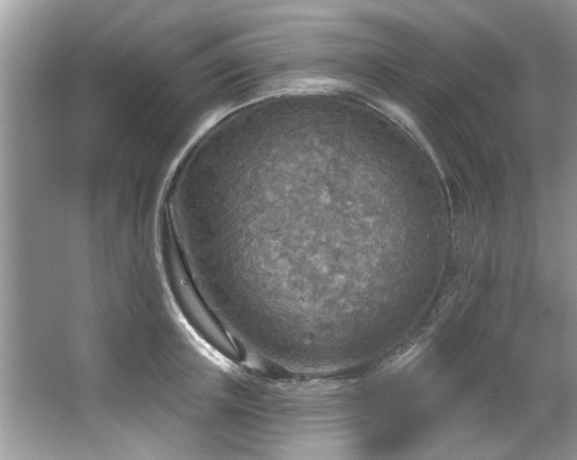 X0000067470851200604071152