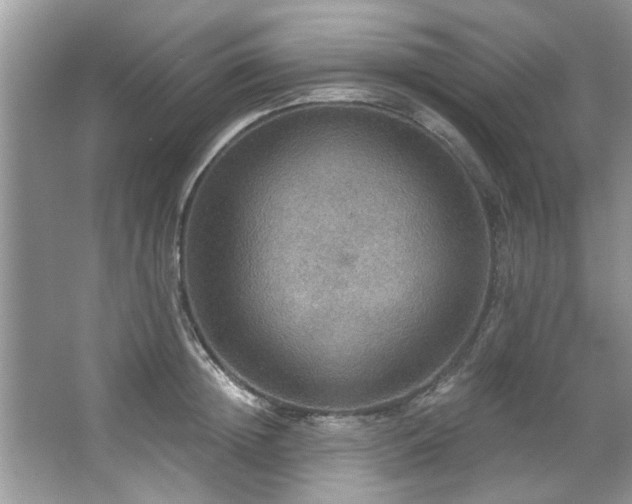 X0000067470852200604071152