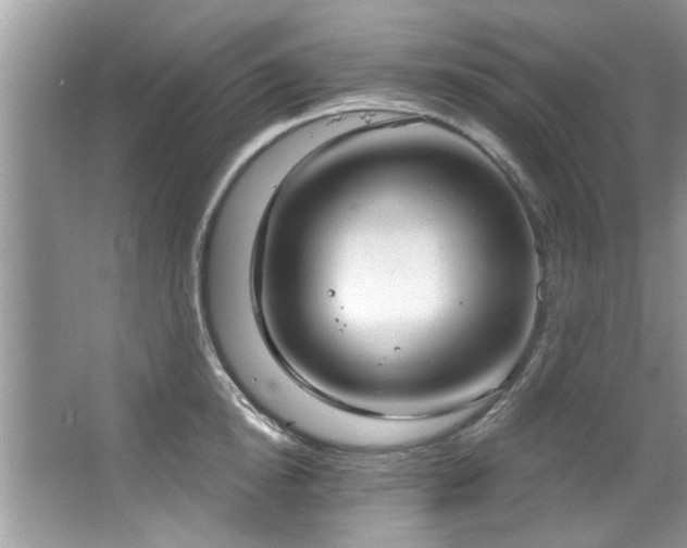 X0000067470854200604071152