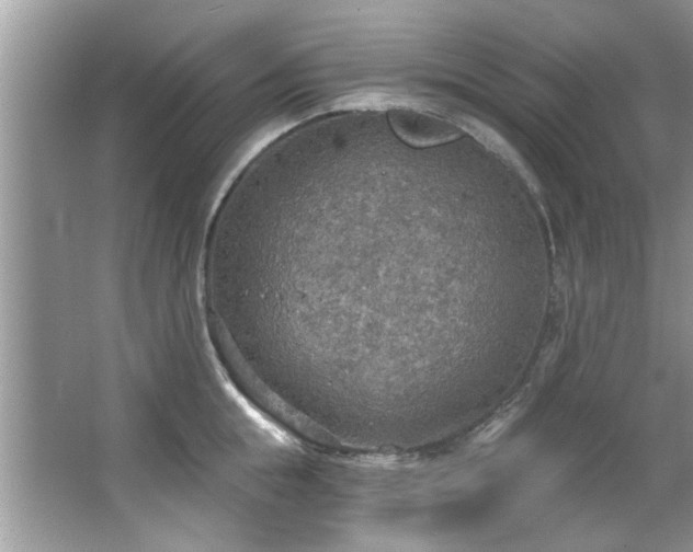 X0000067470855200604071152