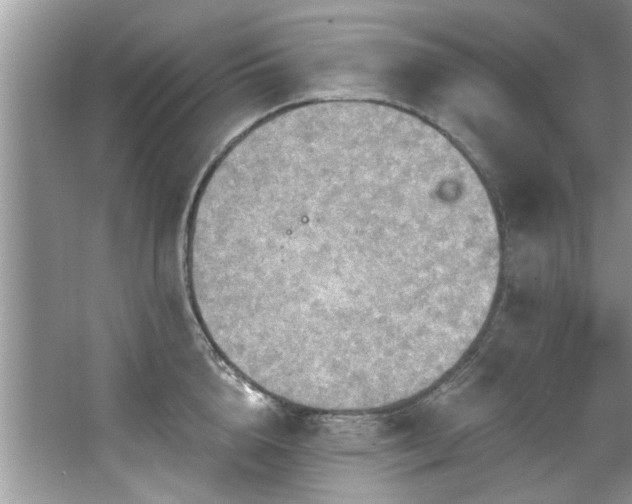 X0000067470856200604071152