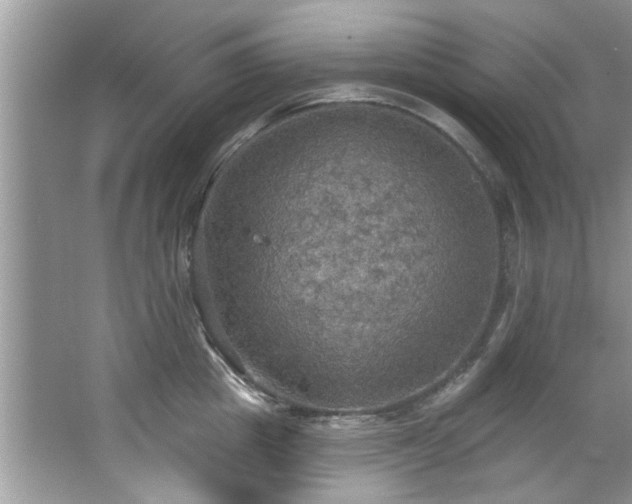 X0000067470857200604071152