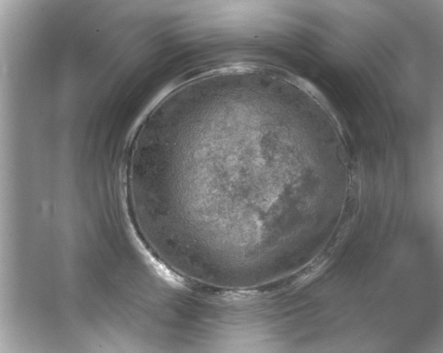 X0000067470859200604071152