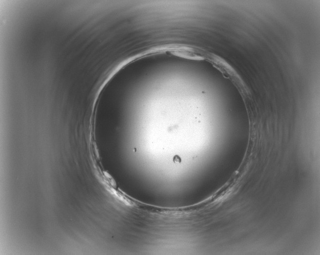 X0000067470860200604071152