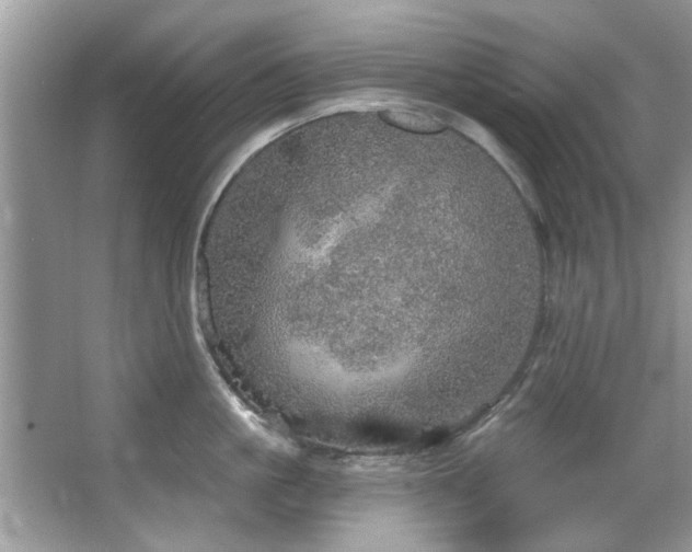 X0000067470861200604071152