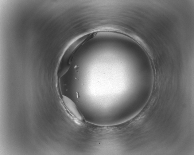 X0000067470862200604071152