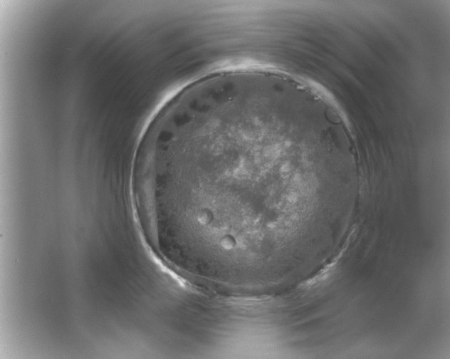 X0000067470863200604071152