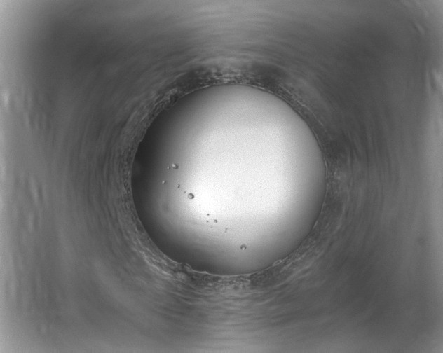 X0000067470865200604071152