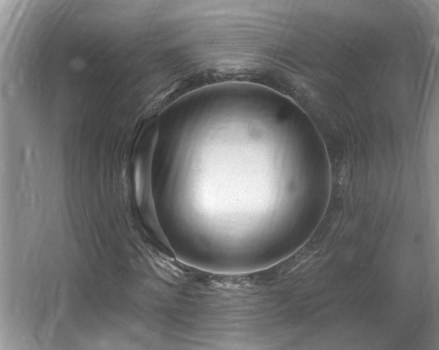 X0000067470868200604071151