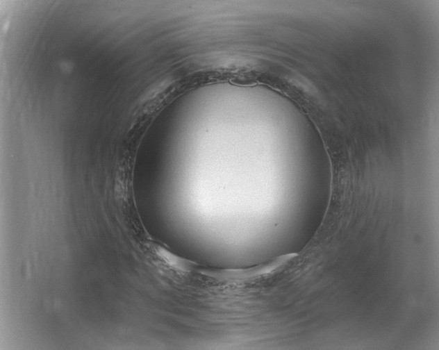 X0000067470869200604071151