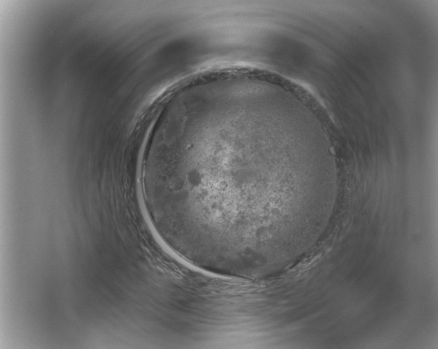 X0000067470871200604071151