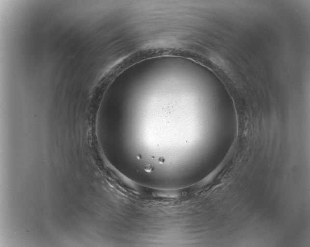 X0000067470872200604071151