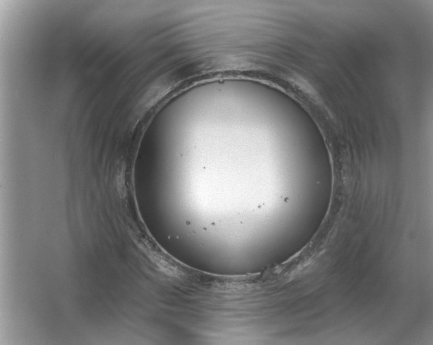 X0000067470873200604071151