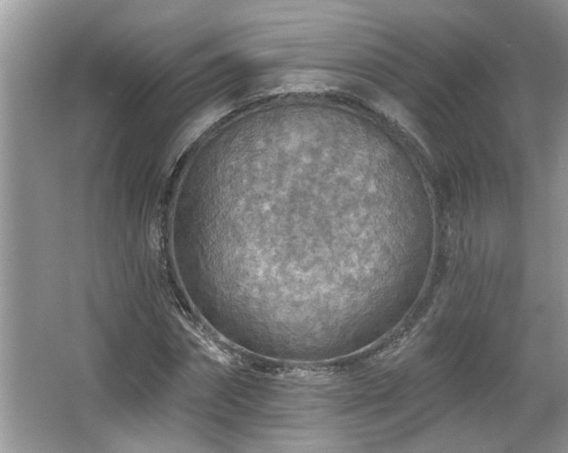 X0000067470874200604071151