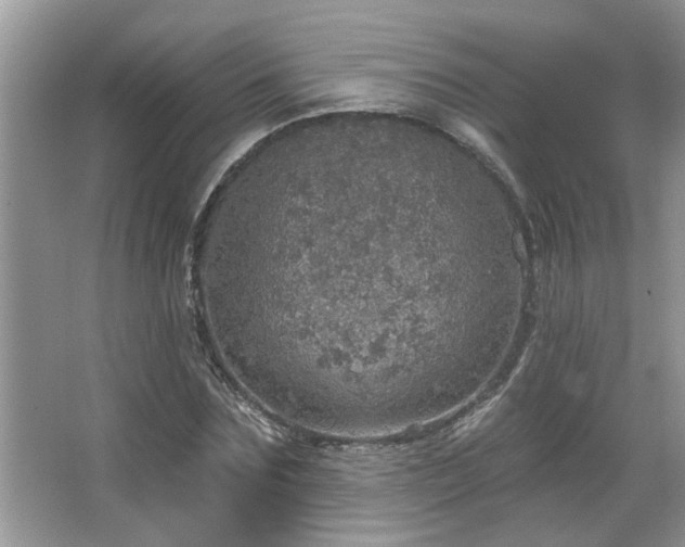 X0000067470875200604071151