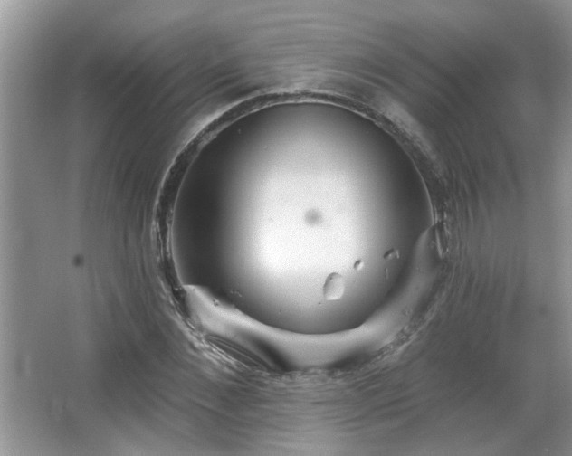 X0000067470876200604071151