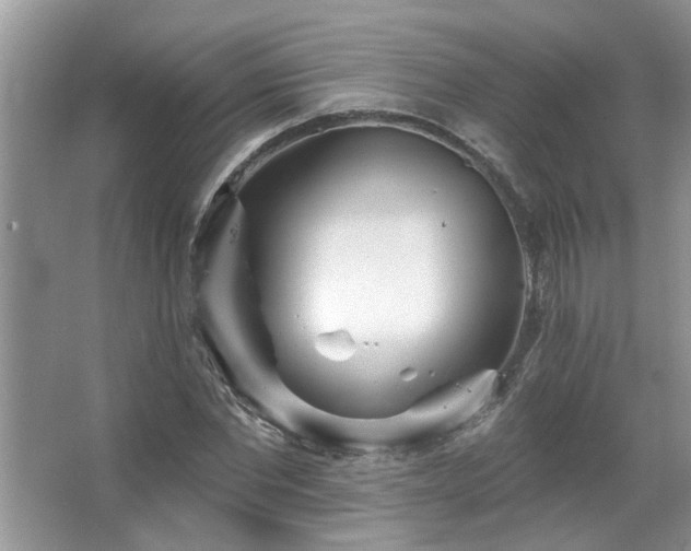 X0000067470877200604071151