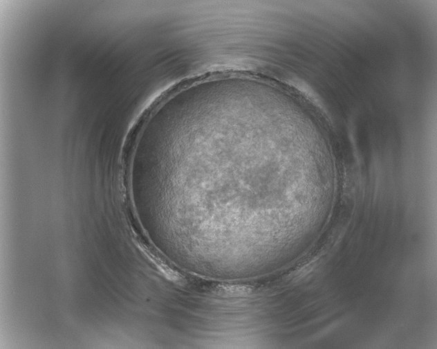 X0000067470878200604071151