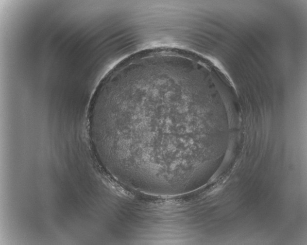 X0000067470879200604071151