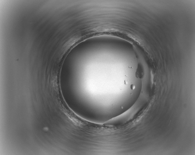 X0000067470881200604071151