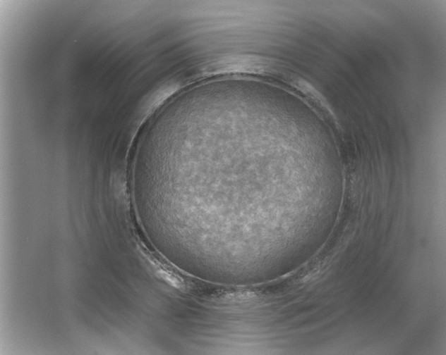 X0000067470882200604071151