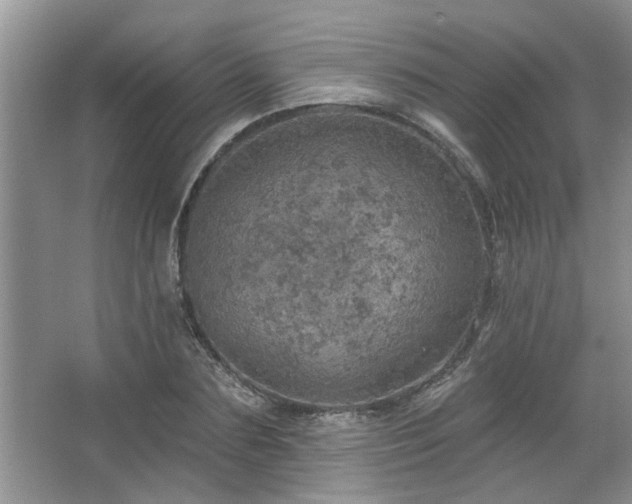 X0000067470883200604071151