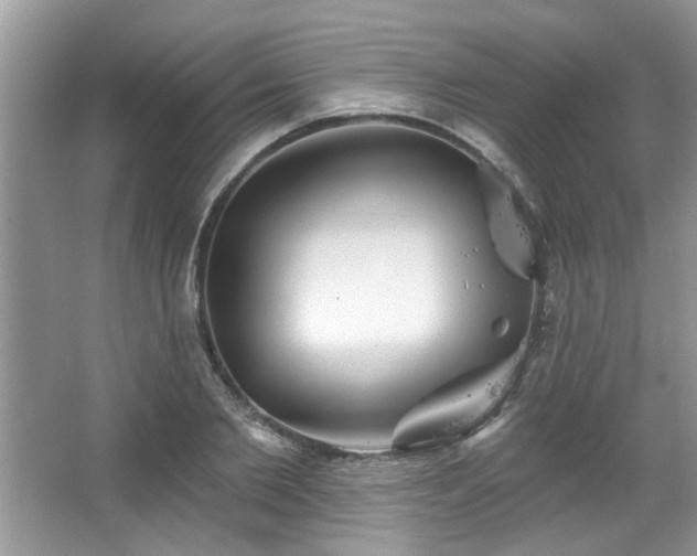 X0000067470885200604071151