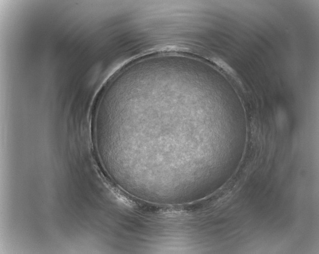 X0000067470886200604071151