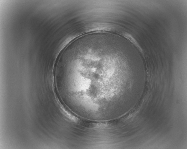 X0000067470890200604071151